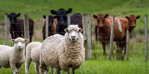 Client Educational Event- Farm Animal Preventative Care!