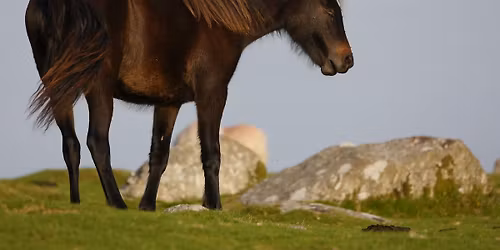 The Gathering - A Dartmoor Day Retreat
