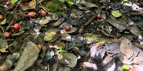 Monthly Trail Maintenance