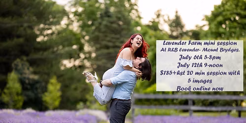 Lavender farm mini session