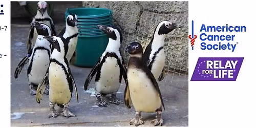 Kickoff--Relay For Life of Jackson County