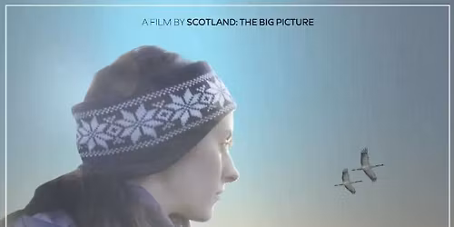 Film night - Why Not Scotland?