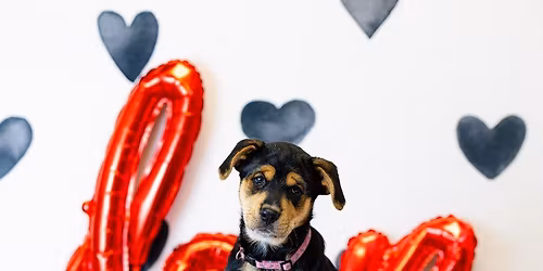 Have a Heart! | Yappy Hour