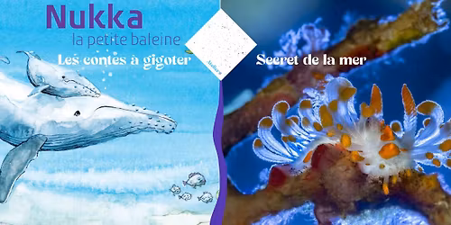 Contes a Gigoter \/\/ Secret de la mer