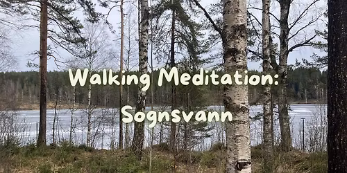 Walking Meditation at Sognsvann
