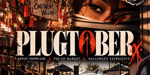 PLUGTOBER