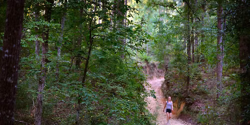 Hitchcock Woods Foundation Field Program: National Take a Hike Day