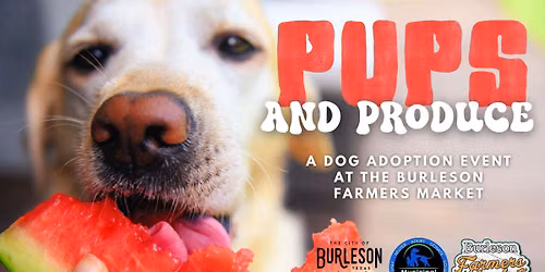 Pups + Produce: Dog Adoption Event