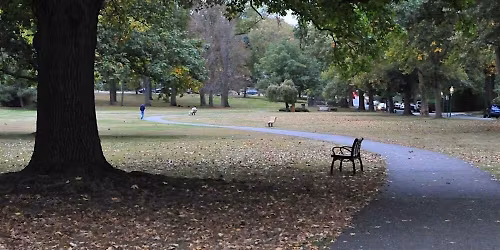 Stride for your Mind:  Walk for Mental Health Awareness