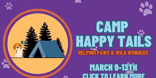 Camp Happy Tails