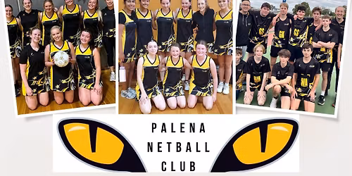 Palena Cubs - Introduction to Netball Sessions