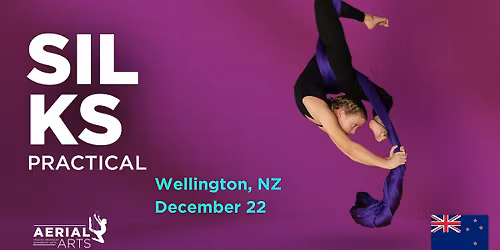 Aerial Arts Silks Practical, IN PERSON, Wellington, NZ