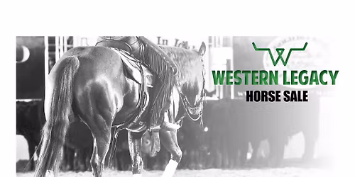 Pendleton Cattle Barons Horse Sale