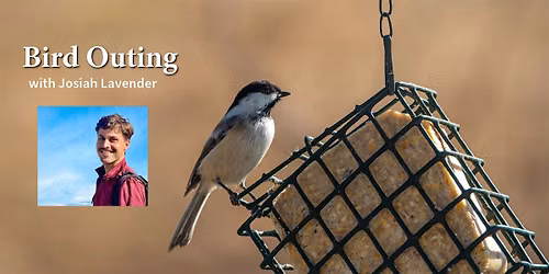 Birds in a Changing World