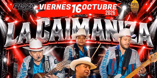 LOS CAIMANES DE SINALOA | LOS MILITARES DE SUR \u2022 GRUPO SELECTIVO