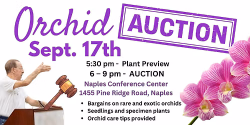 Orchid Auction