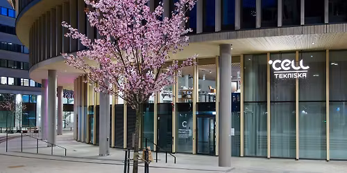 Science Origami workshop med Samayeen Rahman