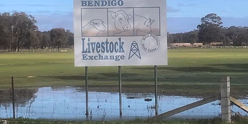 Race 6 is 8000m Handicap at Huntly Livestock Exchange