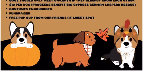 November fundraiser Pack Walk