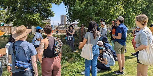 Connect w\/ Nature- Intro to Foraging Workshop (West Los Angeles)