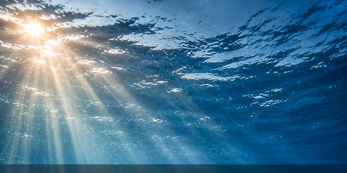 Dolphin Wellness \u2022 Sacred Sites \u2022 The Immersive Experince