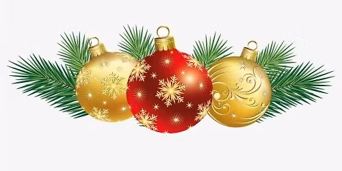 Mankato Area Lifelong Learners Holiday Luncheon