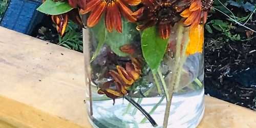 Winter Park Farmers Market