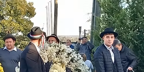 B\u00facs\u00fafa \u00e1ll\u00edt\u00e1s