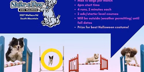 Agility Fun Match