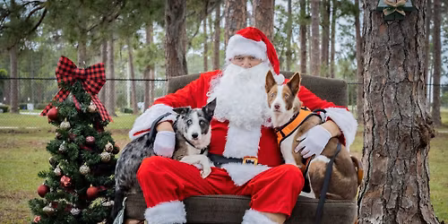 Photos with Santa Paws 