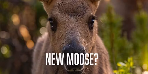 New Member Orientation