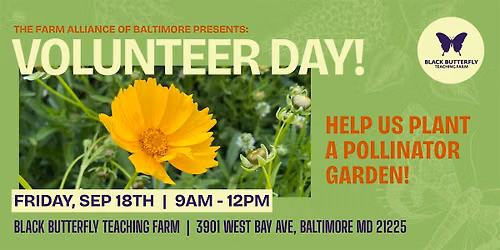 Black Butterfly Farm Volunteer Day (Fri)