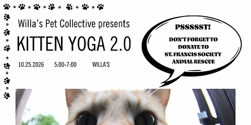 Kitten Yoga 2.0!