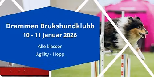 DBHK Vinterfest i Drammen hundepark