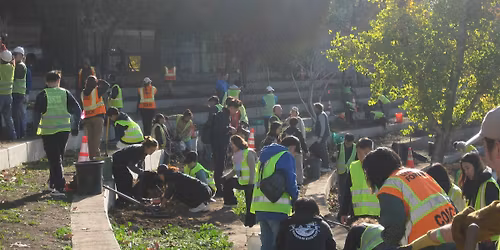 Community Planting with Our City Forest - Location TBD