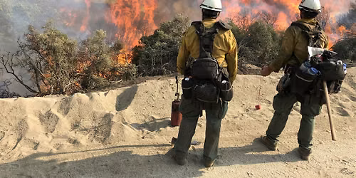 S-131 Firefighter 1