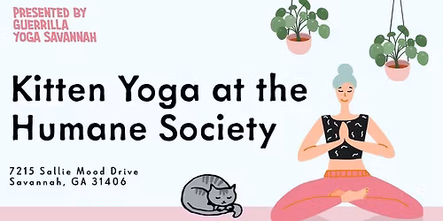 Kitten Yoga at the Humane Society