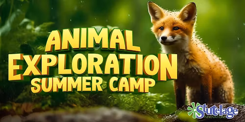  Animal Exploration Summer Camp