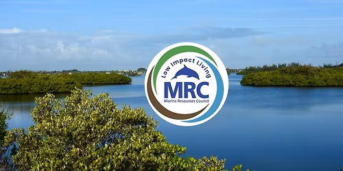 Mangrove Workshop - Palm Bay