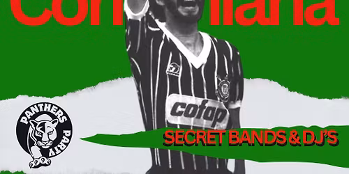 Punkinari III - Secret bands e dj's