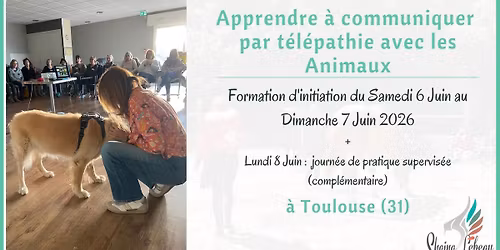 Formation d'initiation \u00e0 la COMMUNICATION ANIMALE - Communiquer avec les animaux - \u00e0 Toulouse (31)