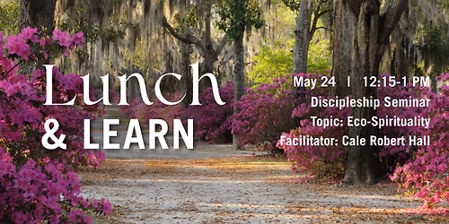 Lunch & Learn Seminar