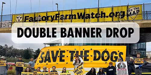 SAN FRANCISCO: Double Banner Drop for Save the Dogs and Factory Farm Watch