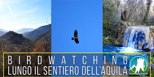 Birdwatching lungo il Sentiero dell’Aquila