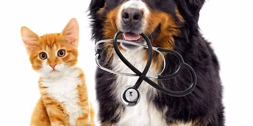 Broderick Animal Clinic Tour