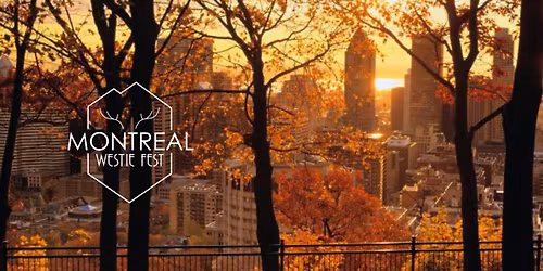 Montreal Westie Fest 2026