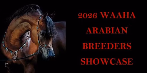 2026 WAAHA ARABIAN BREEDERS SHOWCASE