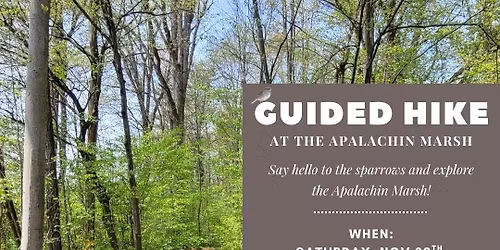 Guided Hike at the Apalachin Marsh