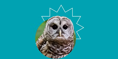 Wildlife Experience with Blandford Nature Center