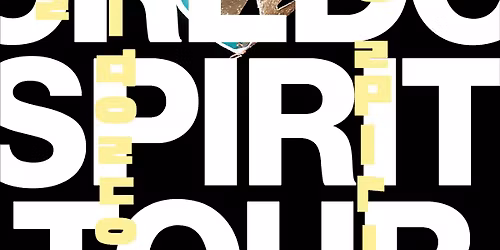 Kings Kaleidoscope at Elevation - Grand Rapids, MI